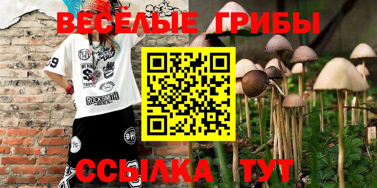 Тимашёвск  Псилоцибиновые грибы мухоморы  цены   Вход с VPN 